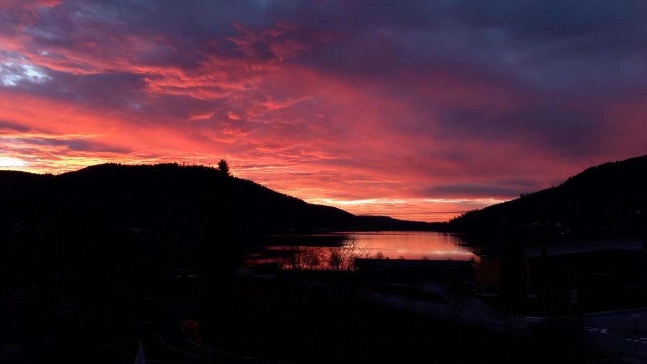 Les Loges Du Parc Hotel Gerardmer Ngoại thất bức ảnh