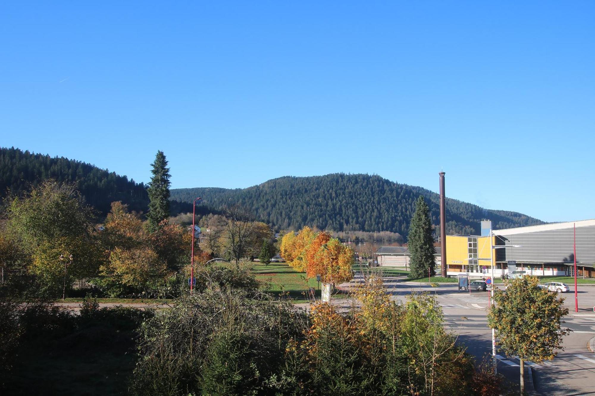 Les Loges Du Parc Hotel Gerardmer Phòng bức ảnh